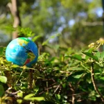 promienniki ciepla przyczyniaja sie do ochrony srodowiska