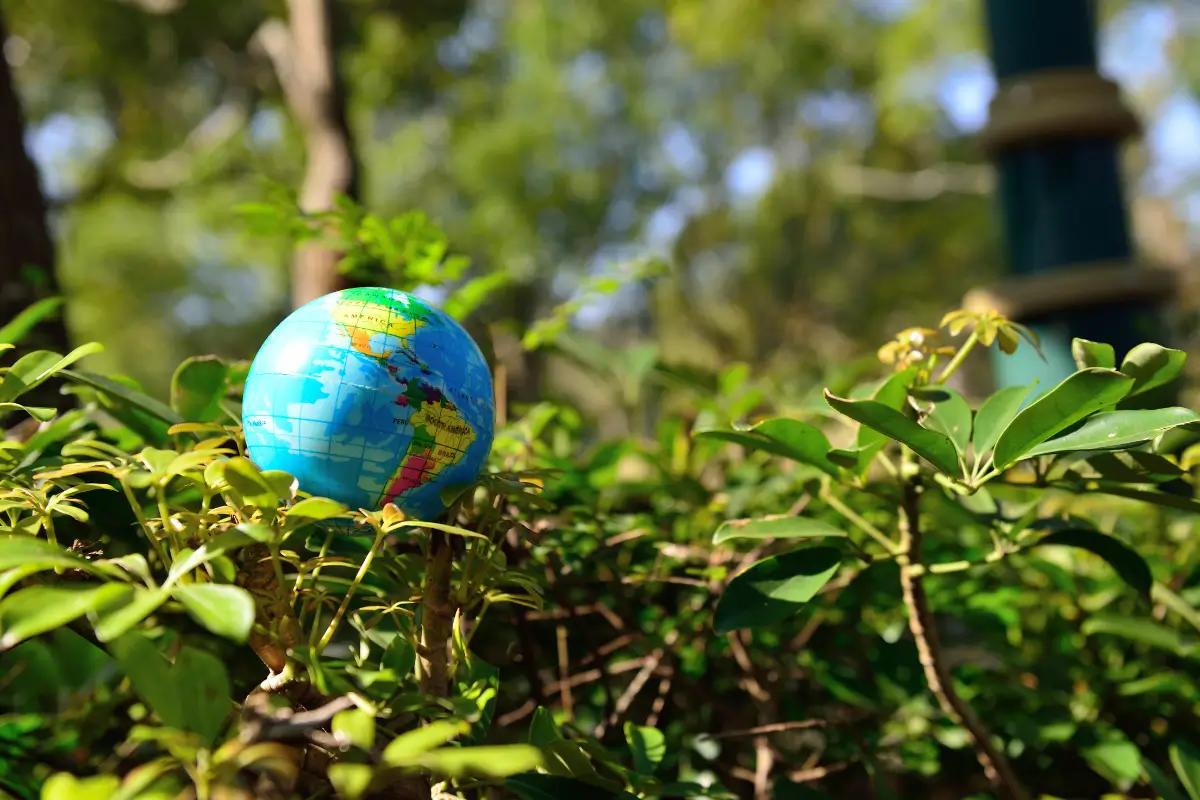 promienniki ciepla przyczyniaja sie do ochrony srodowiska